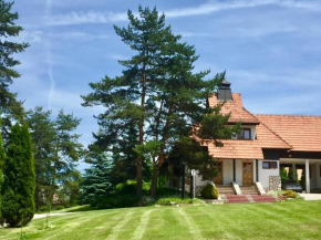 Kraljevi konaci - Bela Rada, Zlatibor